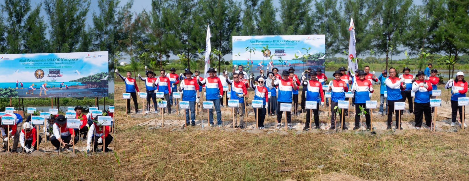 Aksi PGN Saka: Tanam 120.000 Bibit Mangrove untuk Lindungi Pesisir Ujungpangkah, Gresik